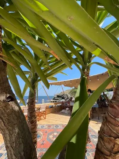 Azul Beach Bar