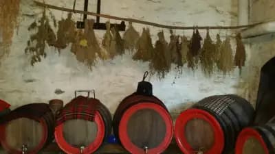 Ресторант „Фенерови“ село Змейово