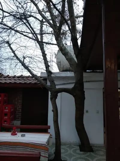 Ресторант Воденичката