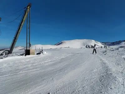 Чайна Ястребец
