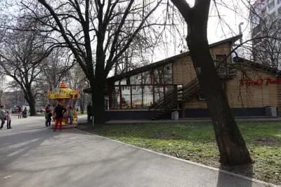 Тимо Парк