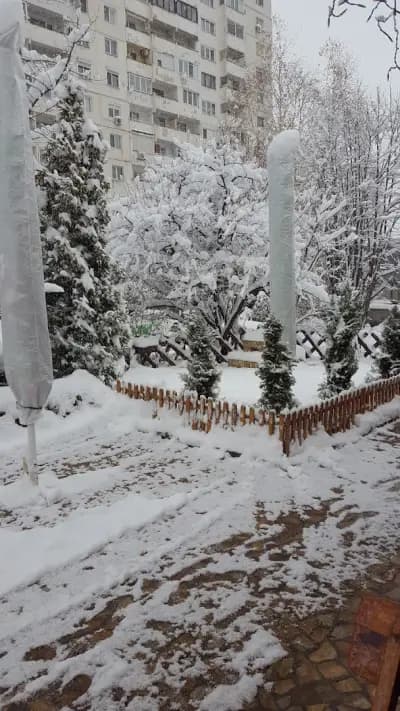 Ресторант Вион