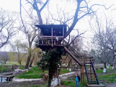Хан Дълбока гр. Тутракан