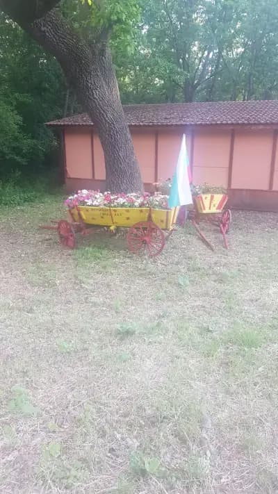 ХАНЧЕ ГОРСКИ КЪТ