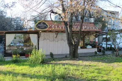 Златната рибка 2