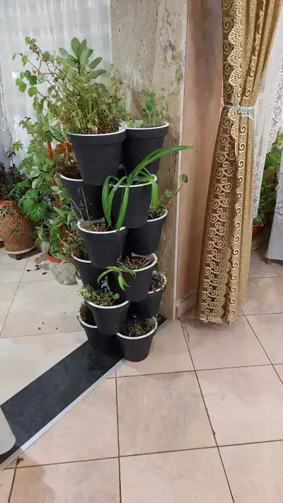 Ресторант Чайка Радомир