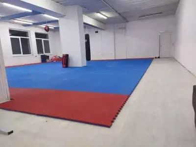 Таекуондо клуб Инвикта / Taekwondo Club Invicta