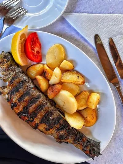 The Trout Restaurant