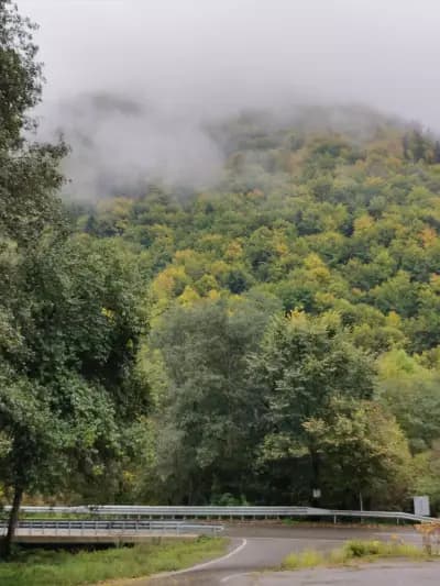 Ресторант Елешница