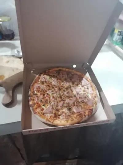 Пицковата къща