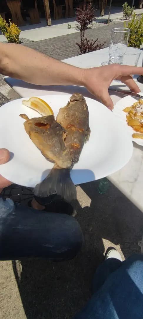 Рибката