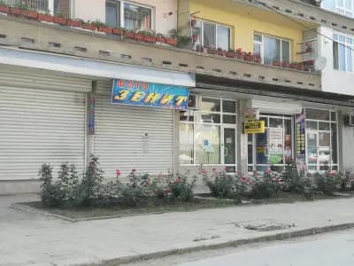 Фото Зенит