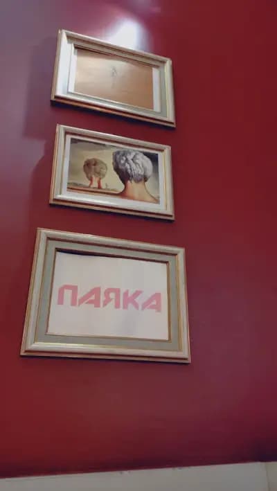 Бистро "Паяка"