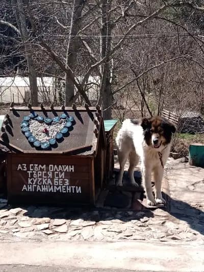 Бистро Градево