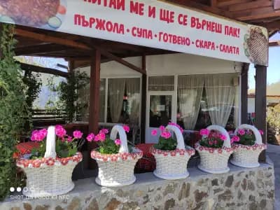 Бистро Градево