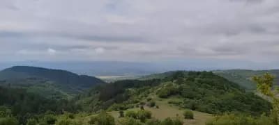Ресторант Пицария Брезите