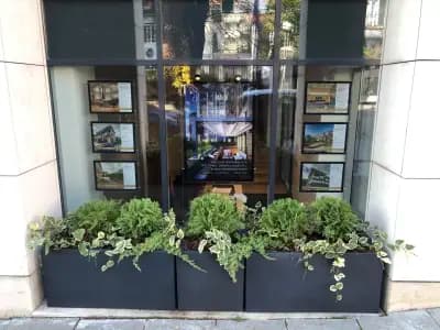 Unique Estates Oborishte: Luxury Properties