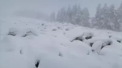 Дядо Коледа в снега на Благодарността