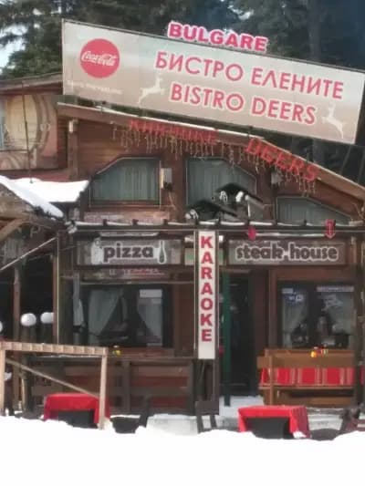 Елените