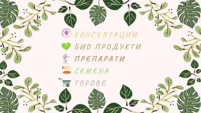 КГВ Агро