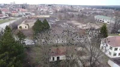 Ветеринарна лечебница - Генерал Тошево