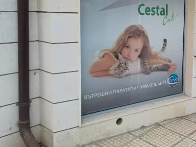 Ветеринарен кабинет Animal GP - Д-р Антон Стойнев