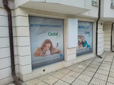 Ветеринарен кабинет Animal GP - Д-р Антон Стойнев