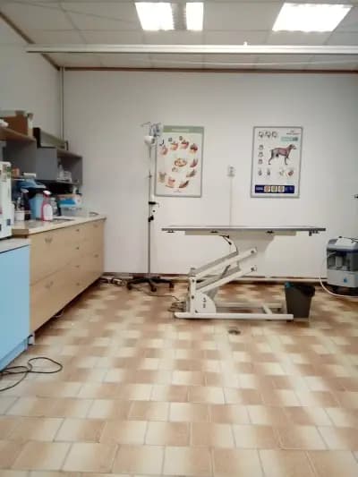 Ветеринарна клиника Viva Vet