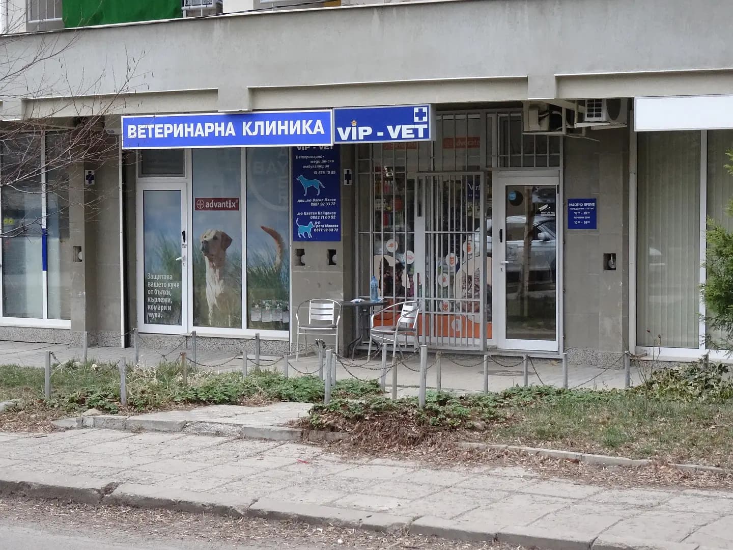 Вип Вет