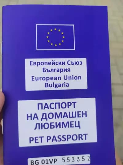 Доктор Венелин Желязков