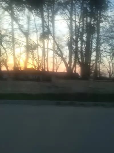 механа Лонгоз