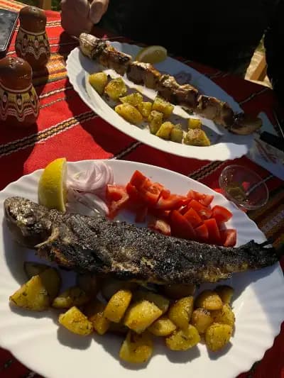 Механа Поли