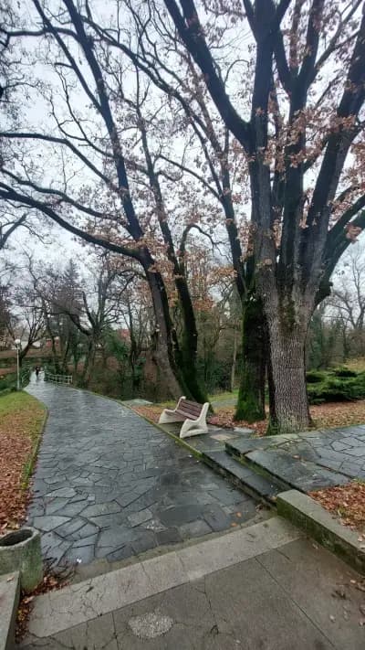 Централ парк