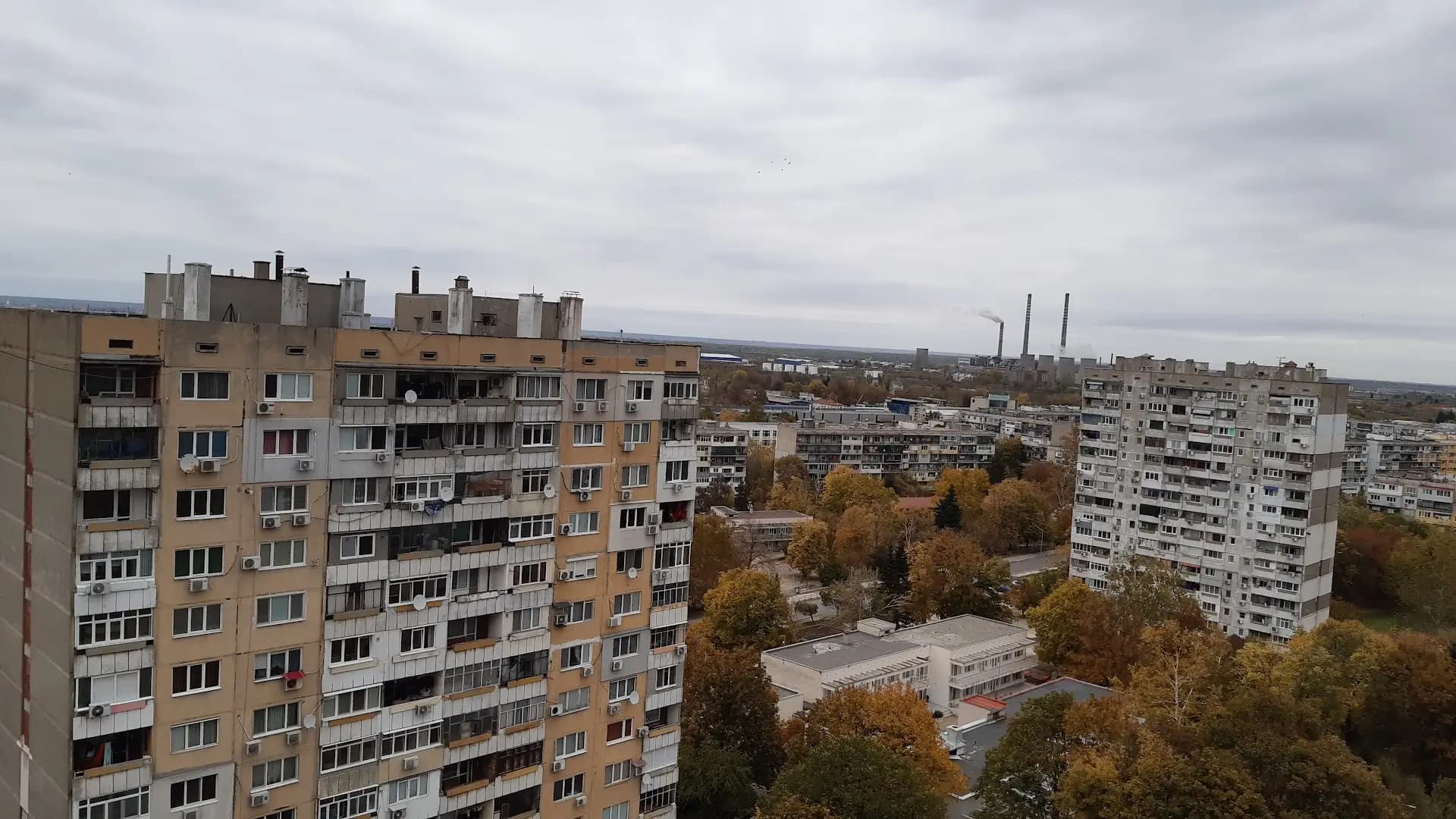 Здравец Изток