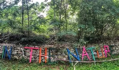 Festival In The Nature