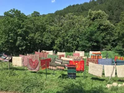 Festival In The Nature
