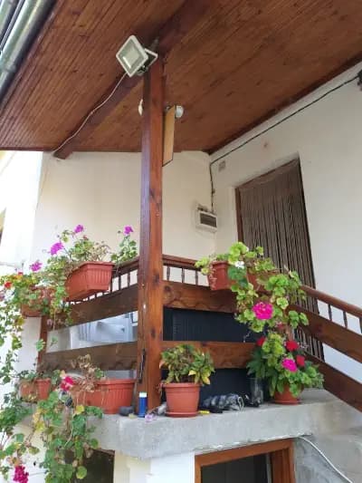 Vladinsky and Kremena Rusalia Resort