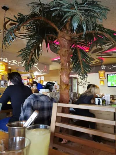 Sweet Bar & Grill | Младост