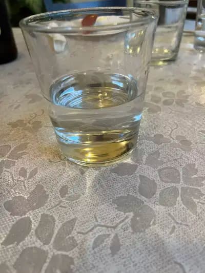 Бар Влади Дружба