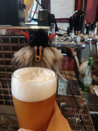 19 Art & Craft bar