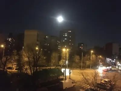 Фаворит