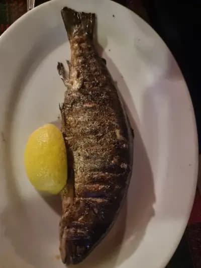 Бирария Чучулига