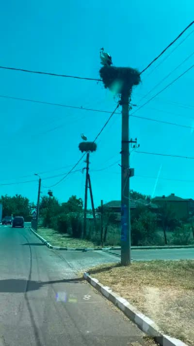 Снек бар Оазис