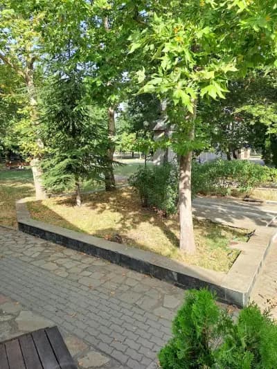 Флай