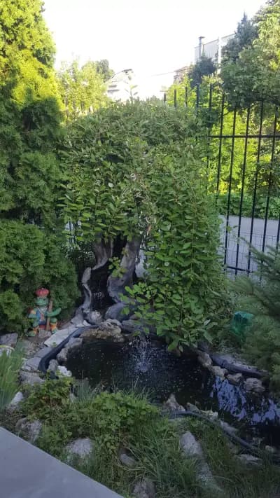 Restaurant garden " GUINNESS"