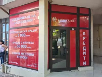 Профи Кредит