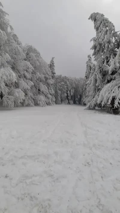 Хайдушка поляна
