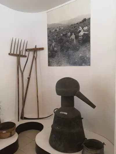 Археологически музей на Хисаря