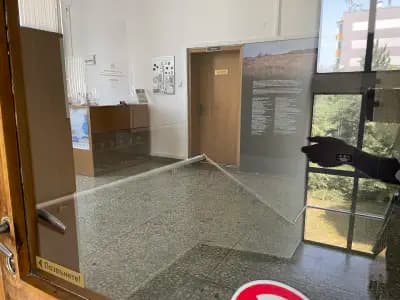 АМ „Проф. Мечислав Домарадски“
