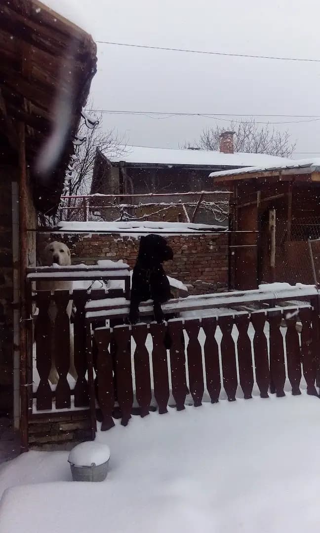 Паметник на Стефан Стамболов